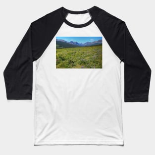 Glacier National Park Wild Flowers Baseball T-Shirt